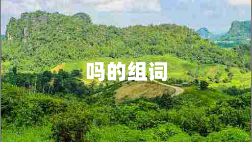 嗎的組詞
