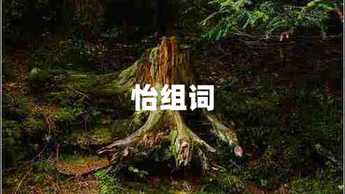 怡組詞