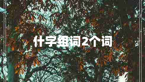 什字組詞2個(gè)詞
