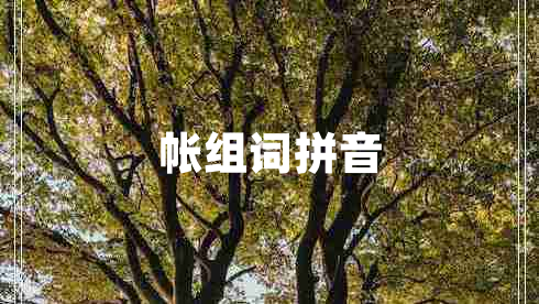 帳組詞拼音