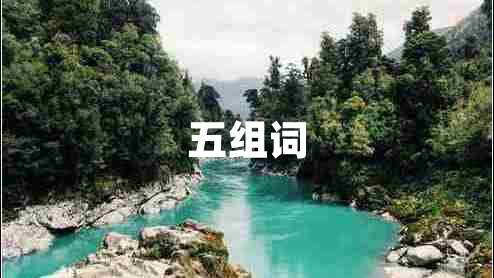 五組詞
