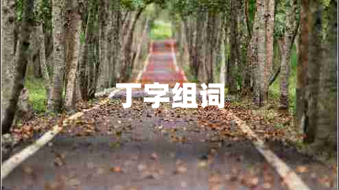 丁字組詞