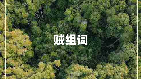 賊組詞