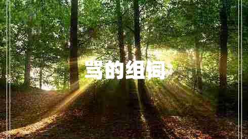 罵的組詞