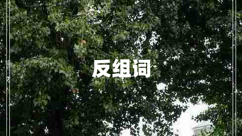 反組詞
