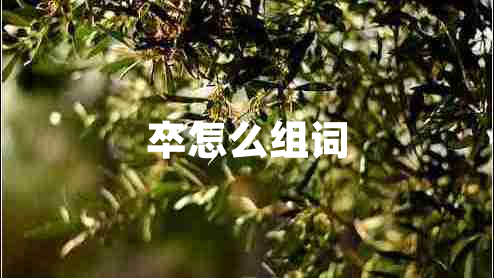 卒怎么組詞