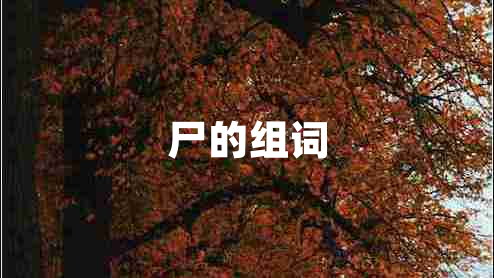 尸的組詞