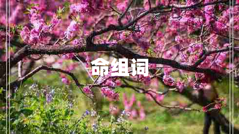 命組詞
