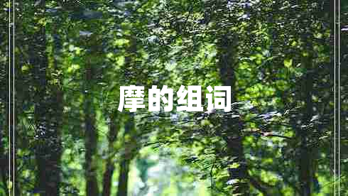 摩的組詞