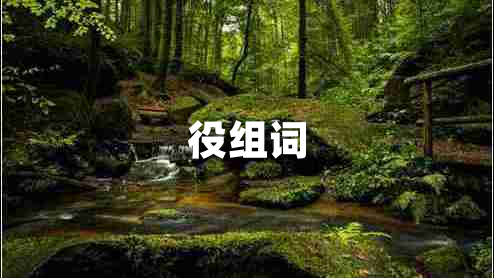 役組詞