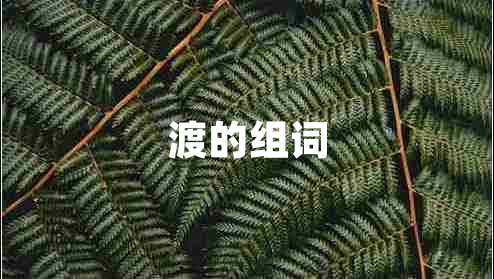 渡的組詞