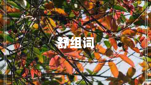 舒組詞