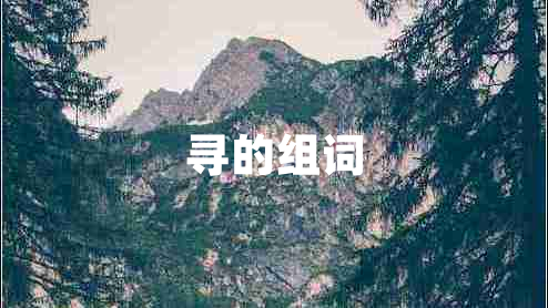 尋的組詞