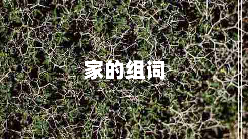 家的組詞