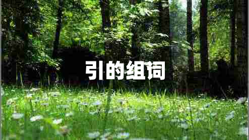 引的組詞