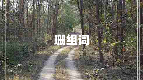 珊組詞