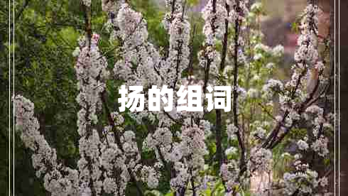 揚的組詞