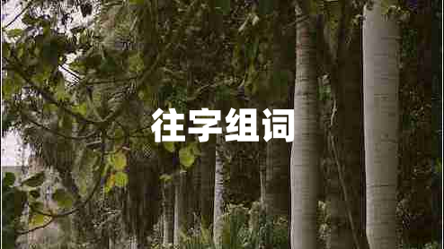 往字組詞