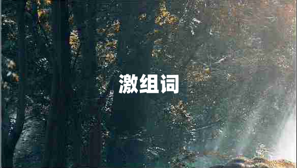 激組詞