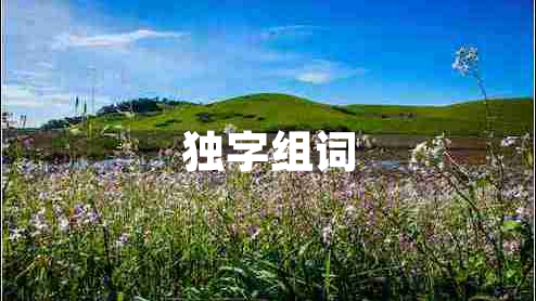 獨字組詞