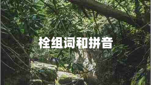 栓組詞和拼音