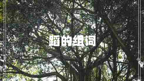 蹈的組詞