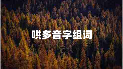 哄多音字組詞