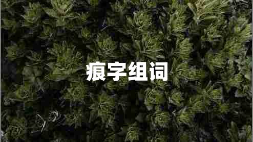 痕字組詞