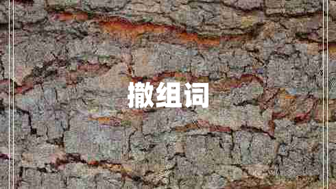 撤組詞
