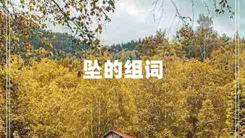 墜的組詞