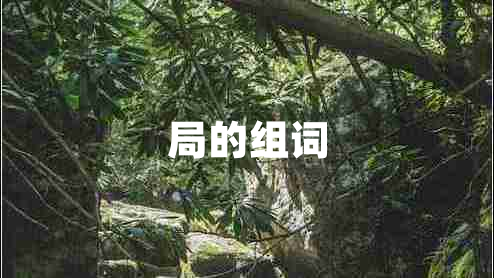 局的組詞
