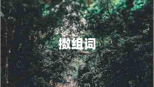 擻組詞