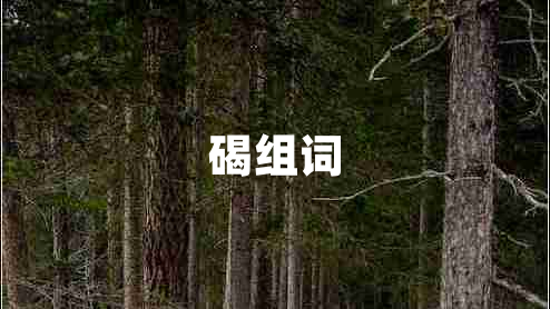 碣組詞