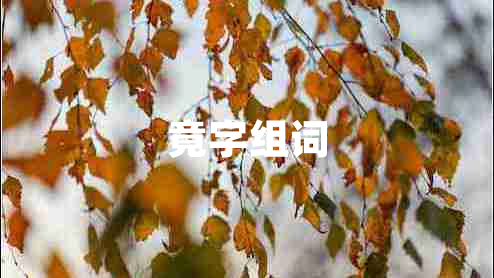 竟字組詞