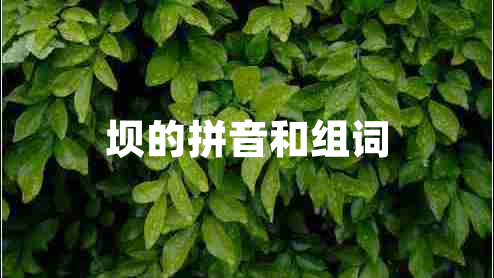 壩的拼音和組詞
