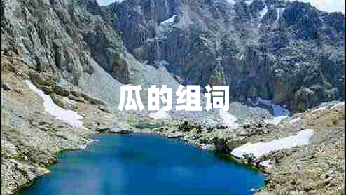 瓜的組詞