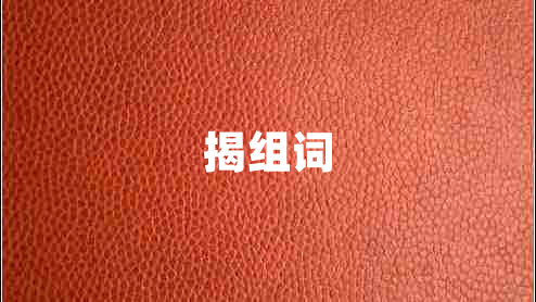 揭組詞