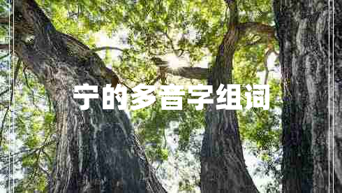 寧的多音字組詞