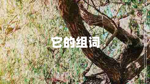 它的組詞