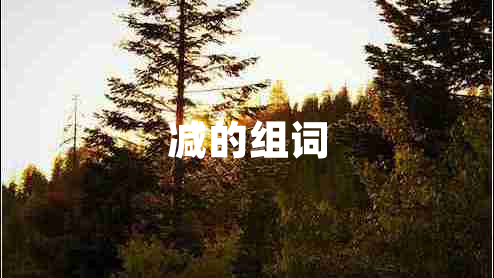 減的組詞