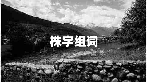 株字組詞