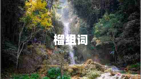 榴組詞