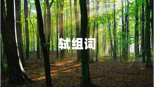 軾組詞
