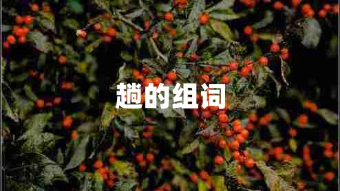 趟的組詞