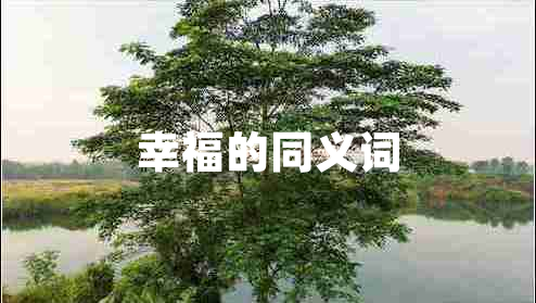 幸福的同義詞