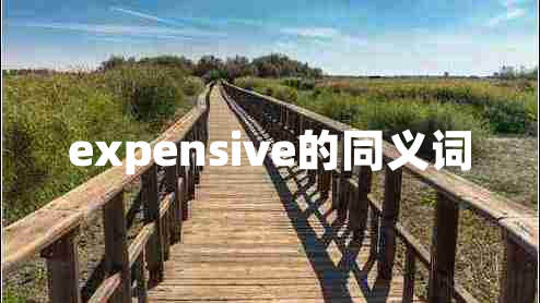 expensive的同義詞