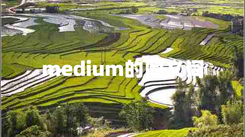 medium的同義詞