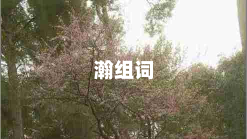 瀚組詞