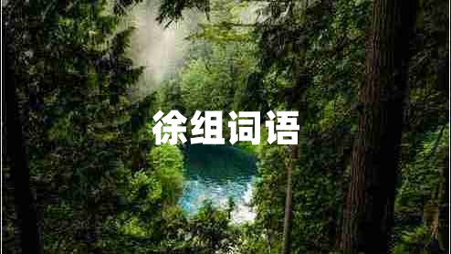 徐組詞語(yǔ)