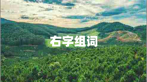 右字組詞